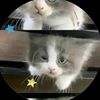 rawi_0010