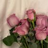 ahtra_81