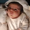 ahmad.mhmad8616