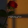 khanabbasi164