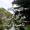 user7151219283211