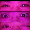orientalchrink