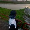 sebarauhunterr88