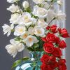 rose392172