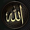 qurantilawatvideo786