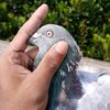 rajim.islam27