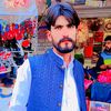 shani.jutt8557