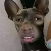 vy_skibidi