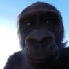 kayydaksma