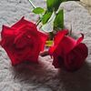 houda.blhf