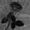 mariam.7azem
