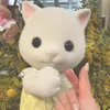 goma_yuchi