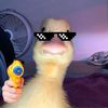 wylou_0