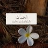 hamoud.alshammra