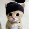 raz_1114