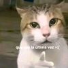 user20614979610888