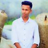 shahammiya