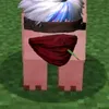 duongcaidu.y
