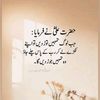 haseebop529