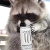 shampoo.muncher