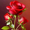 mawarmerah23400