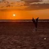 lily_derink0