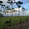 edwin_0504