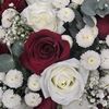 maryah6341