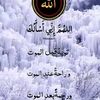 user5332834579429