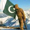 pak.foj.zindabad29