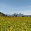 adican30nasution