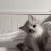 woominchiki_24