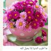 user8594376194800