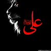 sheikh.haidar.ali3