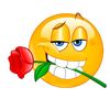 erder_3351