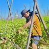 ko.kyaw0829