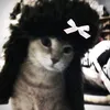 polinaaw_