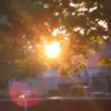 sun_ania