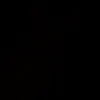__p.pi11