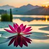 meditationawareness