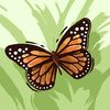 zeinab.sayed591