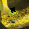 fishman9014
