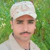 arif.aii84