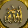 user7130430351622