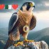 mido.mido9770