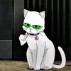 saisannee