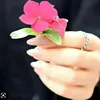 zina7382
