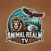 Animal Realm TV