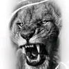khalilkresh