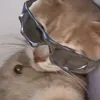 memm_m4